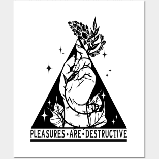 Pleasures are destructive Posters and Art